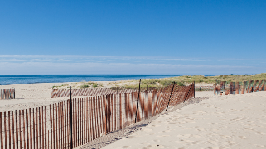 beach fence